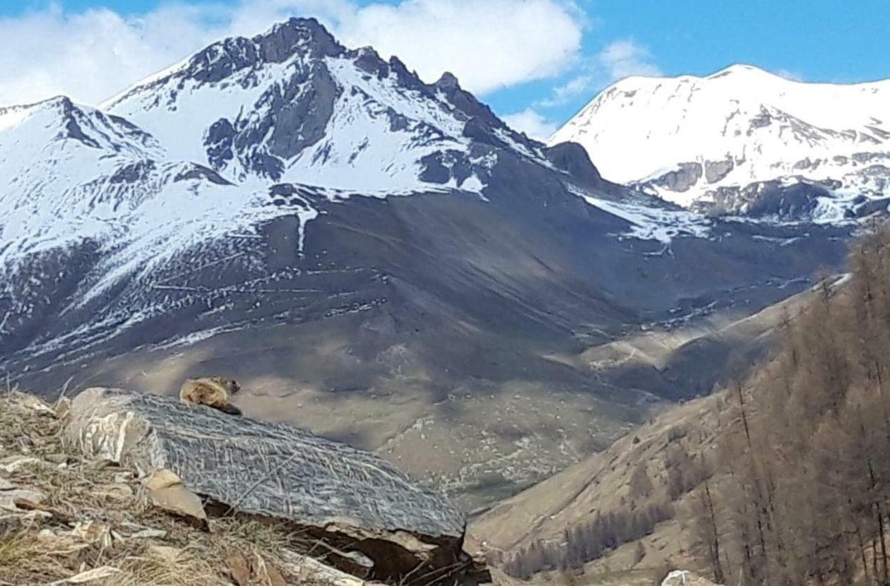 Ubaye Liberty Lejlighed Barcelonnette Eksteriør billede